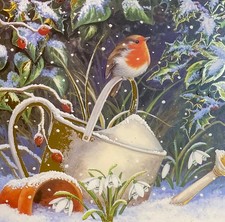 MEDICI CHRISTMAS  CARD ~ ROBIN