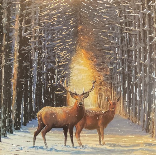 Medici christmas card stags - christmas, ~