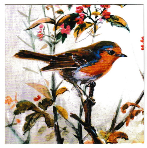Roland green robin autumn - roland, in