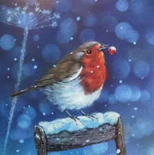 Robin On Spade With Berry