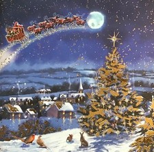 Santa & Sleigh in the sky ~