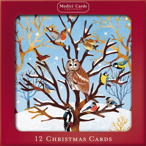 Box christmas birds in a - of,