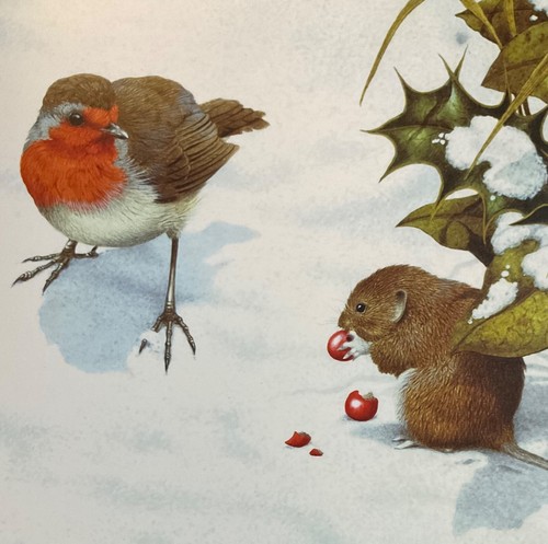 Beautiful snowy robin mouse - beautiful, &
