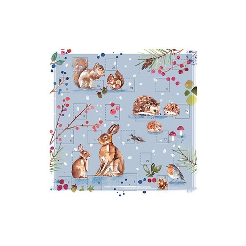 Winter wildlifewoodland - winter,