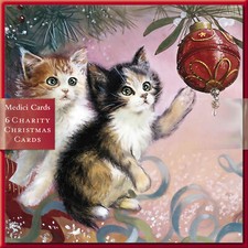 Pack of 6 Kittens Under The