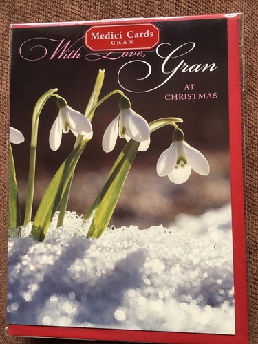 Gran medici christmas card - medici,