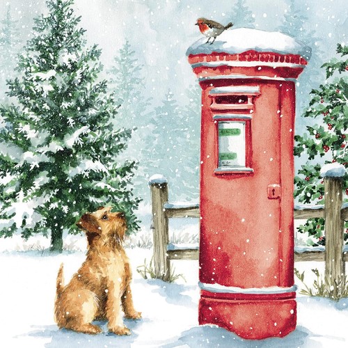 Medici cards pack charity - cards,