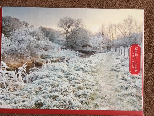 Medici christmas card - card,, world