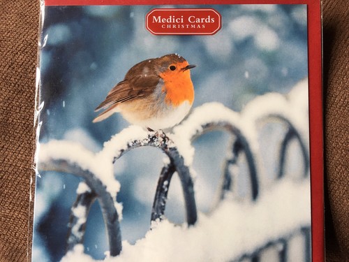 Medici christmas card robin - christmas,