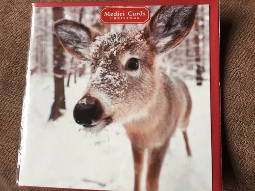 Medici christmas card - medici, deer