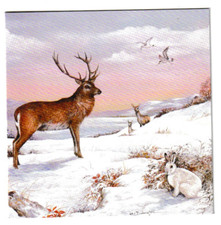 HELEN BABINGTON RED DEER &