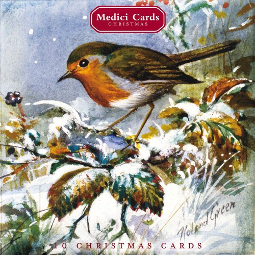 Box robin blue - 10, tits