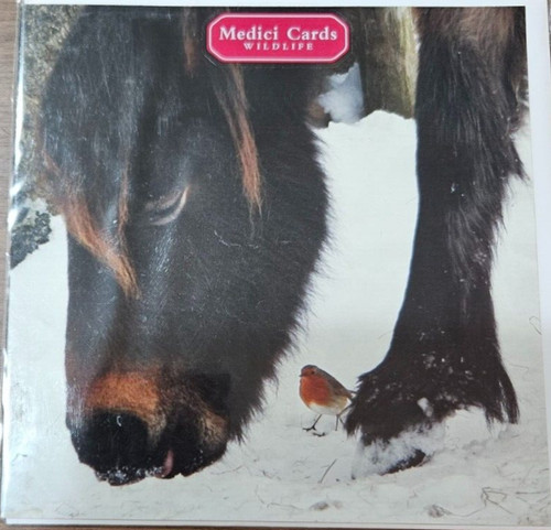 Donkey christmas card gc12 - donkey,