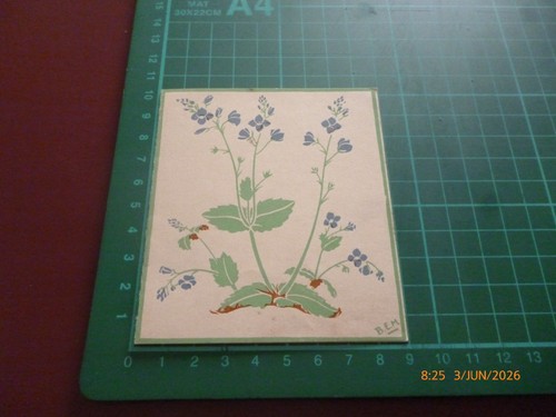 Medici society macfie - b.e.,