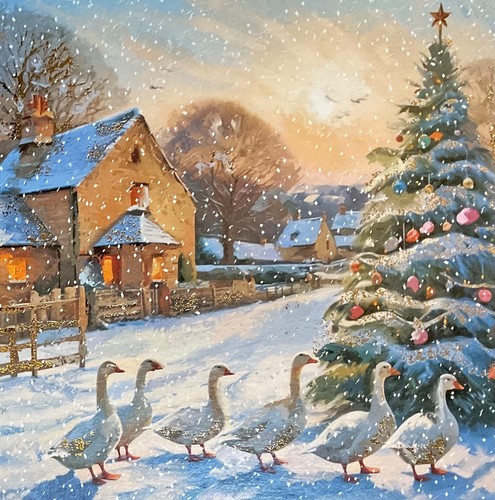 Medici christmas card on - christmas,