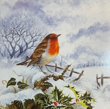 Beautiful Snowy Robin Country