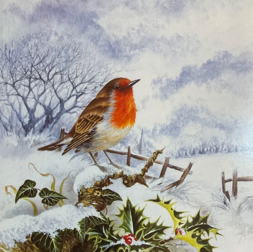 Beautiful snowy robin country - beautiful,