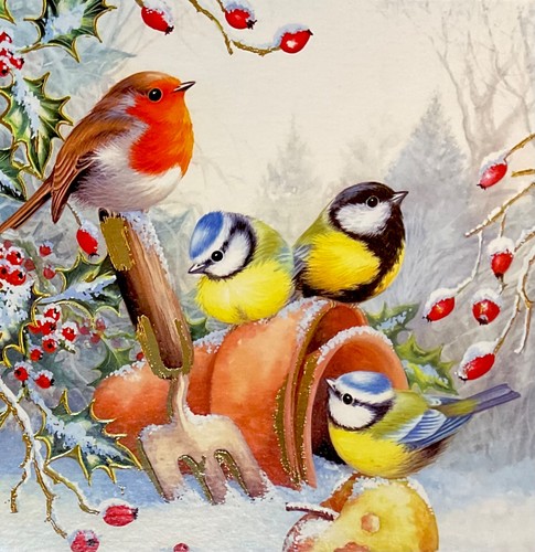Medici christmas card - medici,